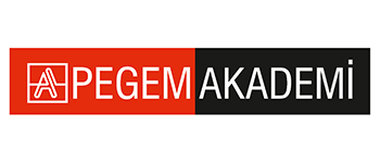 Pegem Akademi